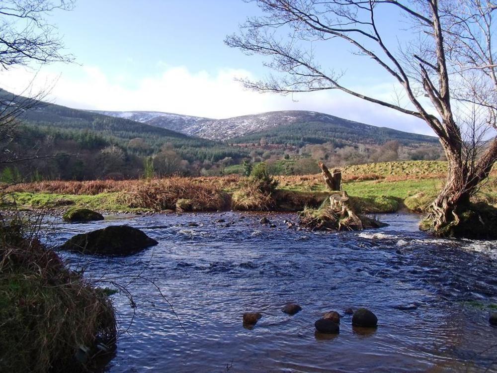 Knockree Hostel Эннискерри Экстерьер фото